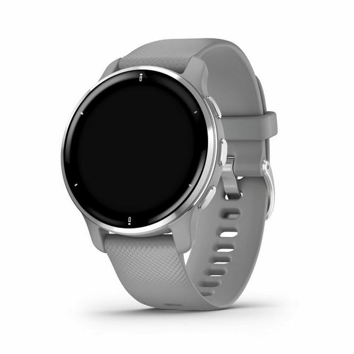 Smartwatch GARMIN 010-02496-10 Grey Silver