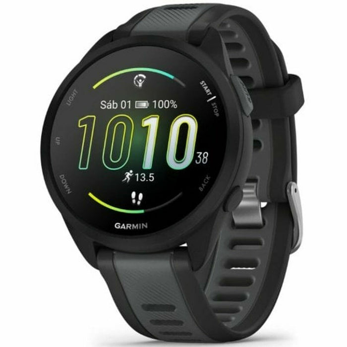 Smartwatch GARMIN 010-02863-20 Black Silver