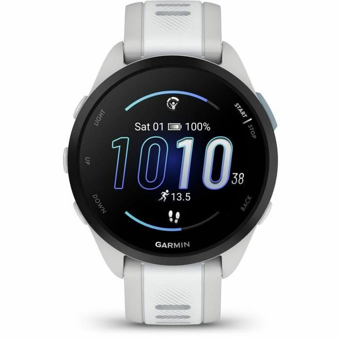 Smartwatch GARMIN 010-02863-21 White Grey Silver