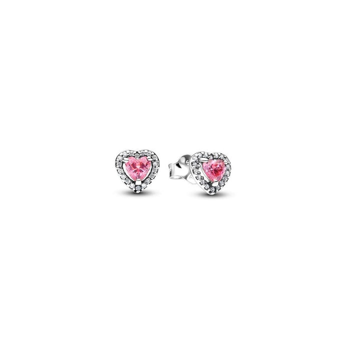 Ladies' Earrings Pandora 298427C02