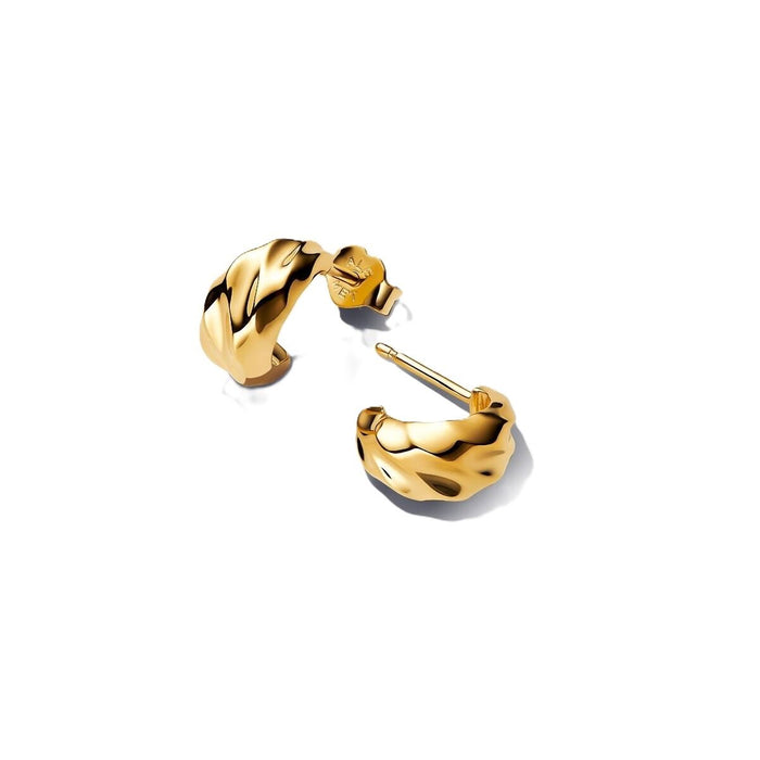 Ladies' Earrings Pandora 263873C00 Golden