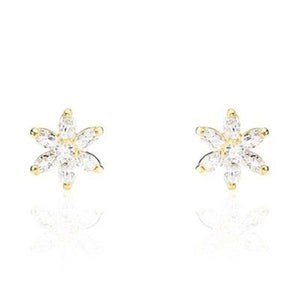 V6H239D42C8D0036506B043D705072CC16AR4359228P1