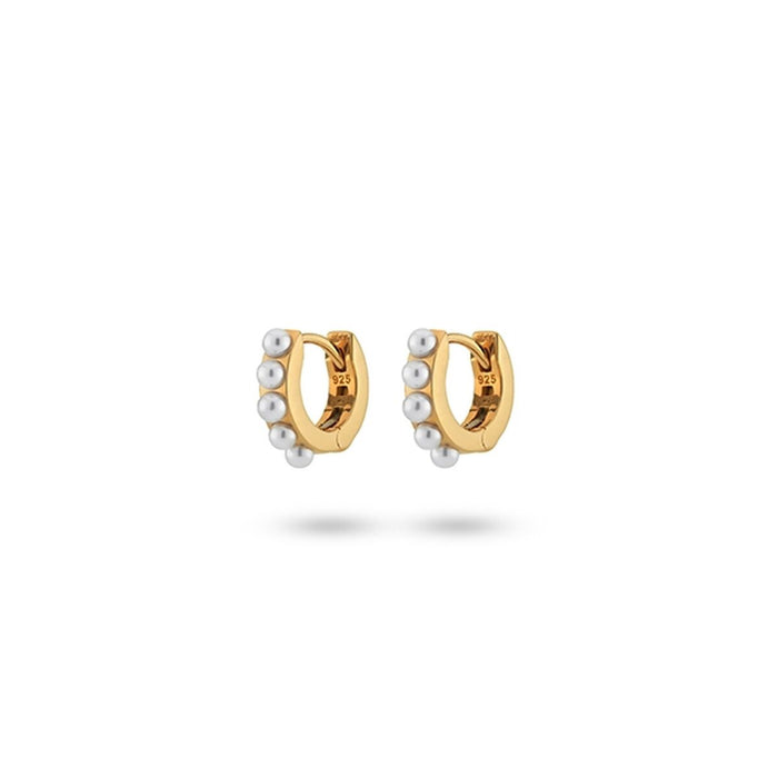 Ladies' Earrings 24KAE 42419Y Golden